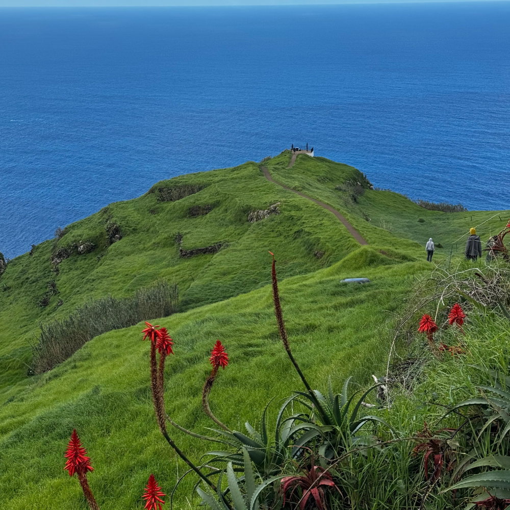 Madeira landscape