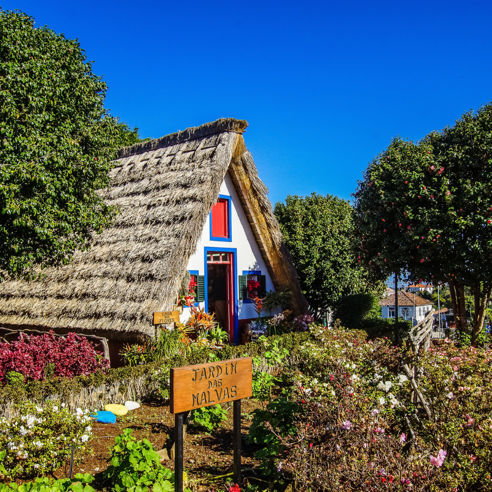 Madeira landscape photo 3